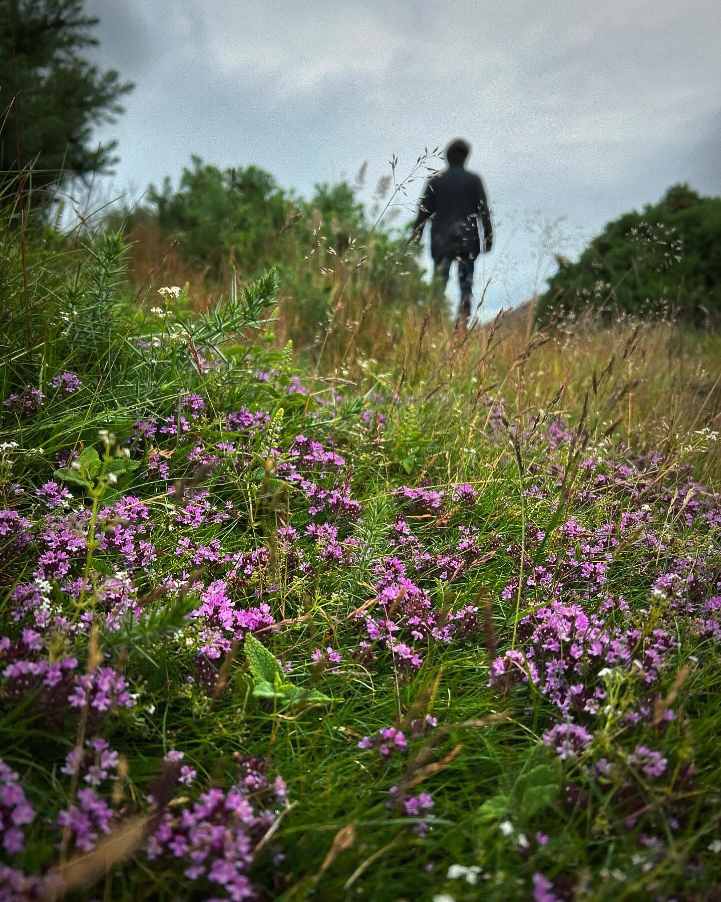 scotland