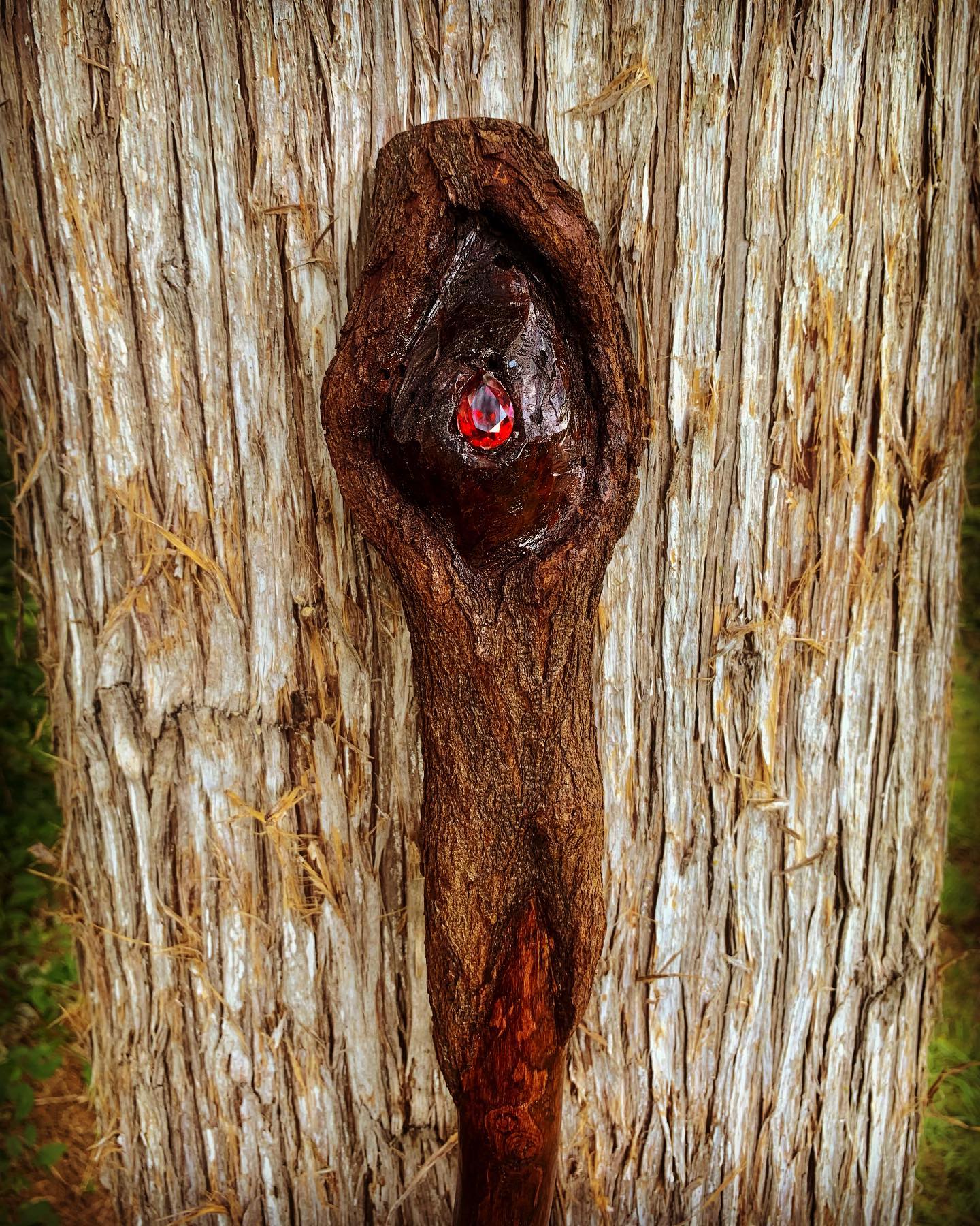 the eye